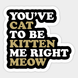 You've Cat to be Kitten me Right Meow Sticker